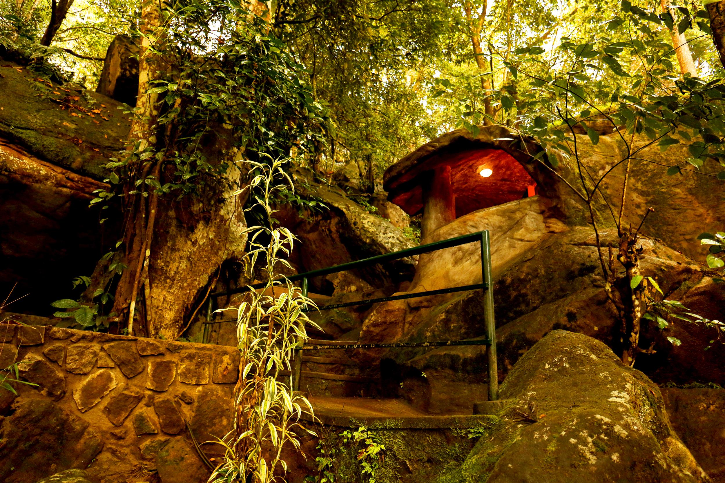 Here’s why every family resort in Wayanad should have a mud cave room!