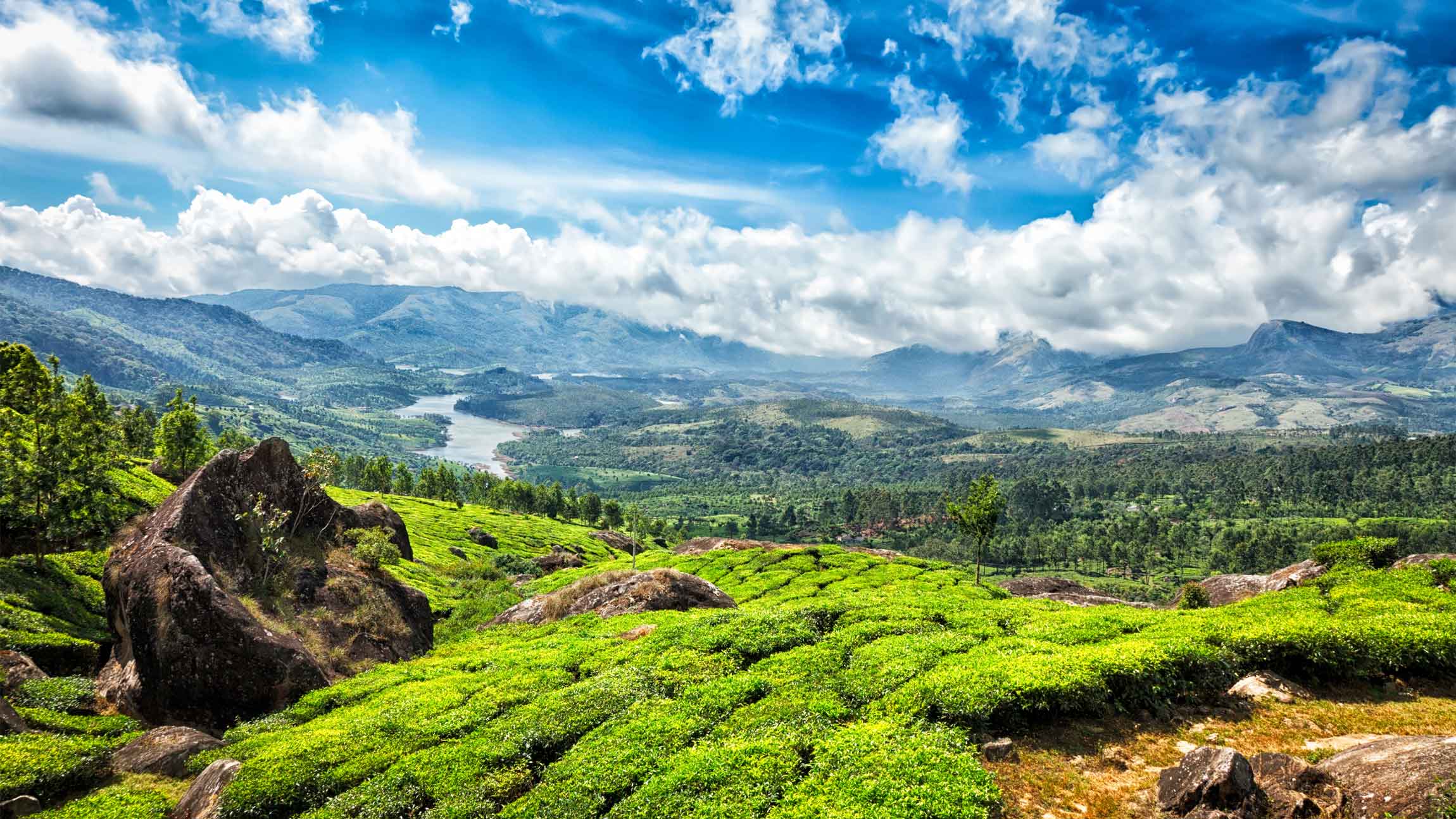 Famous Tourist Spots in Wayanad Trends You Absolutely Must Try in 2022