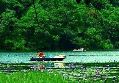 Pookode Lake Wayanad